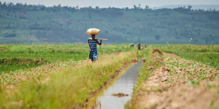 Congo: African Development Bank’s 2023-2028 Country Strategy Paper sets developing sustainable infrastructure and improving economic governance as key priorities