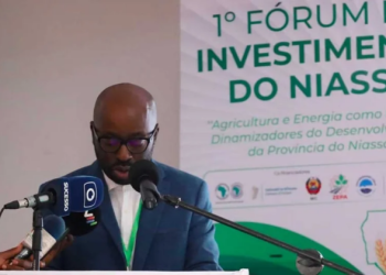 Mozambique: first Niassa Investment Forum aims to attract investment to agribusiness and energy in Niassa Province