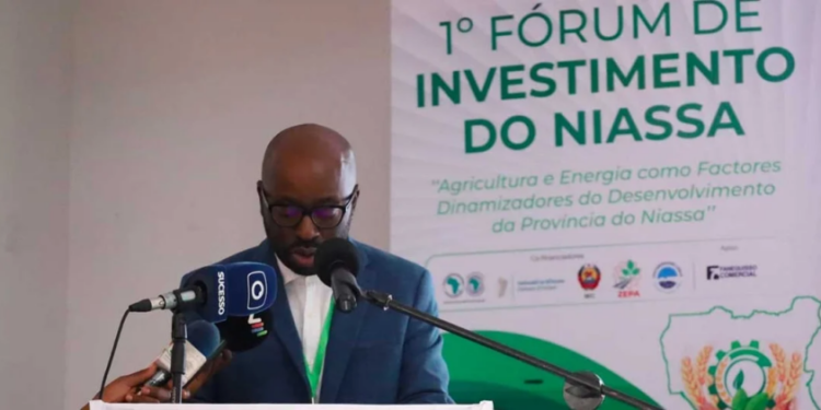 Mozambique: first Niassa Investment Forum aims to attract investment to agribusiness and energy in Niassa Province