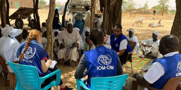 UN presence in Sudan ‘in a precarious situation’, says IOM country chief