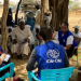 UN presence in Sudan ‘in a precarious situation’, says IOM country chief