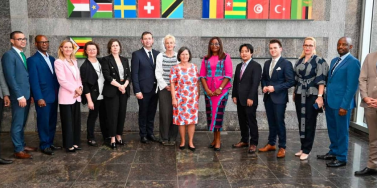 Austrian expertise in renewable energy could benefit Africa, says African Development Bank’s Vice President Marie-Laure Akin-Olugbade