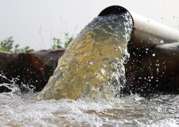 Faire jaillir de l’eau pour contrer l’insécurité alimentaire et le changement climatique dans le Sahel