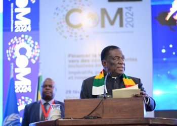 President Emmerson Mnangagwa calls for innovative, green investment strategies to foster Africa’s economic growth