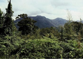 Joint AFF-UN-REDD Action; Unlocking sustainable solutions for effective REDD+ Result Based finance in Africa