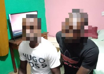 Raid Against Ivory Trafficking in Gabon: Three Suspected Traffickers Apprehended in Lastoursville and Koula-Moutou