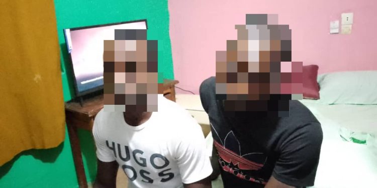 Raid Against Ivory Trafficking in Gabon: Three Suspected Traffickers Apprehended in Lastoursville and Koula-Moutou