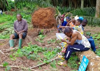Inhabitants of Apouh village preventing Socapalm from carrying on with the replanting campaign on their land