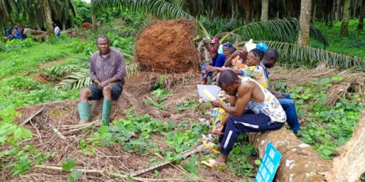 Inhabitants of Apouh village preventing Socapalm from carrying on with the replanting campaign on their land
