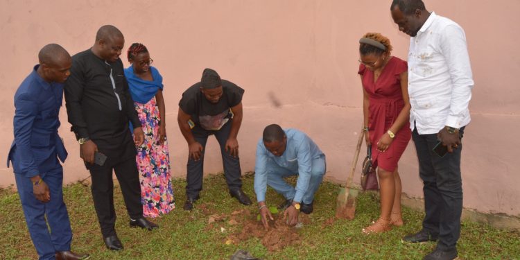 Symbolic planting of the tree by CAMASEJ Yaounde