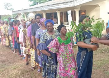 Beneficiaries line up to collect the seedlings