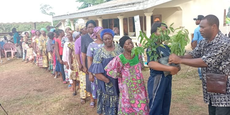 Beneficiaries line up to collect the seedlings