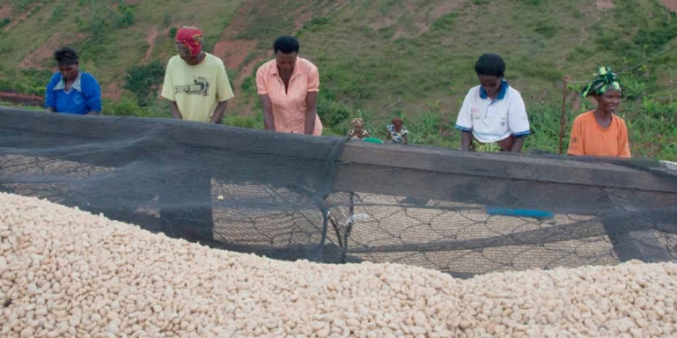 Rwanda : la stratégie pays 2022-2026 de la Banque africaine de développement produit des résultats significatifs à mi-parcours de sa mise en œuvre