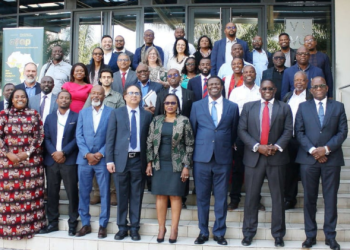 Mozambican Farmers Gear Up for Planting Season with Timely $2 Million Fertilizer Financing Boost