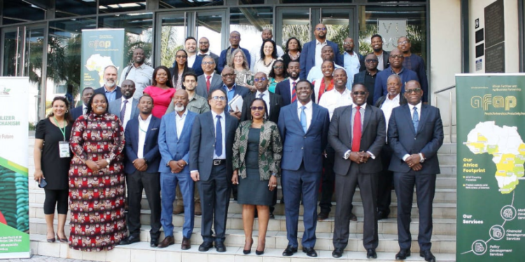 Mozambican Farmers Gear Up for Planting Season with Timely $2 Million Fertilizer Financing Boost