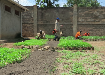 UNMISS-supported gardening program improves the health of inmates at Torit prison