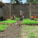 UNMISS-supported gardening program improves the health of inmates at Torit prison