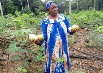 Community management: GDA plants financial seed at AFRiSC Campo