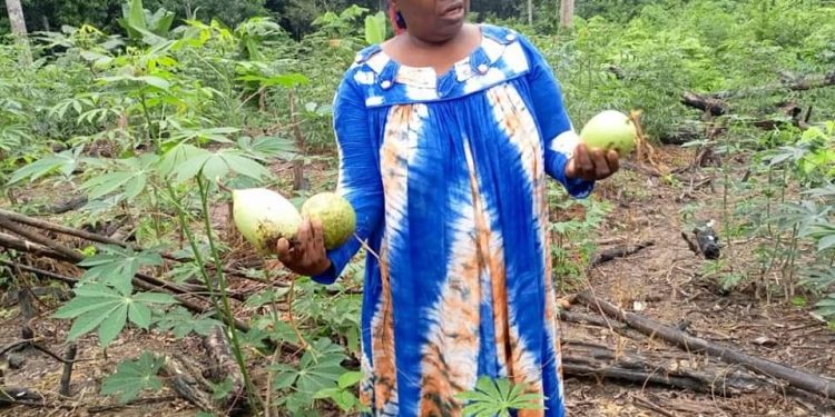 Community management: GDA plants financial seed at AFRiSC Campo