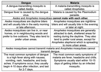 Dengue or Malaria ? How to distinguish mosquito-borne diseases