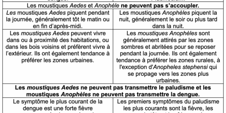 Dengue ou paludisme ? Comment distinguer les maladies transmises par les moustiques