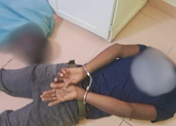 Ivory Trafficking: Truck Driver Arrested in Libreville with Six Ivory Tusks