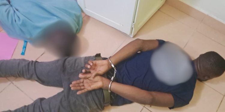 Ivory Trafficking: Truck Driver Arrested in Libreville with Six Ivory Tusks