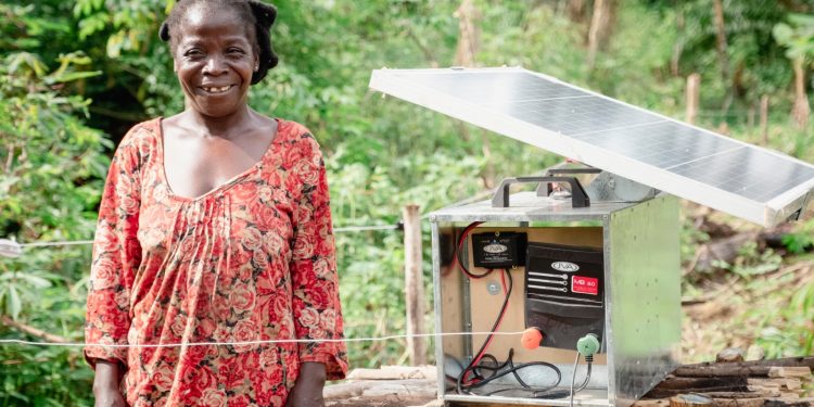 Fight against Human-Wildlife conflicts in Gabon: Space for Giants and Conservation Justice unite to protect crops