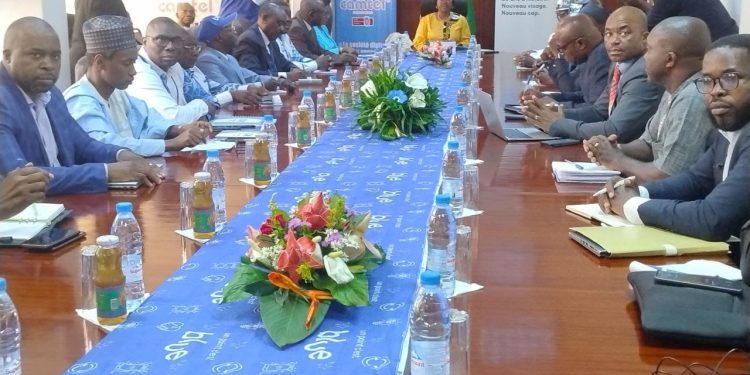 CAMTEL discusses telecom challenges with MINPOSTEL