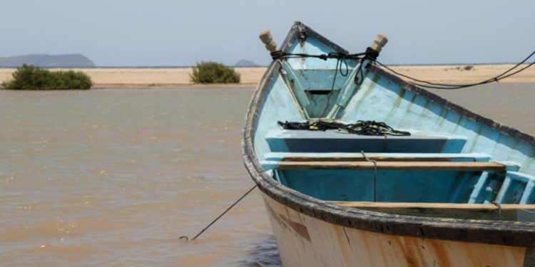 45 morts et 134 disparus dans un incident tragique au large de Djibouti