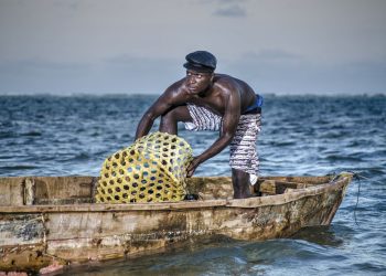 CAMEROON: artisanal fishermen on the coast face up with giant trawlers
