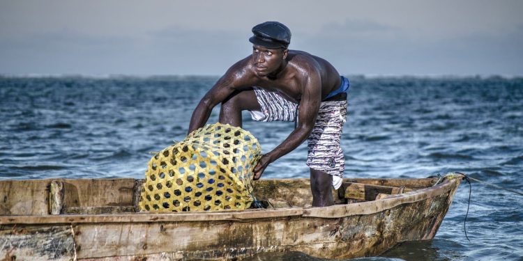CAMEROON: artisanal fishermen on the coast face up with giant trawlers