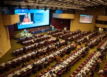 IOM Convenes Global Dialogue on Safe Migration Pathways for a Greener Future