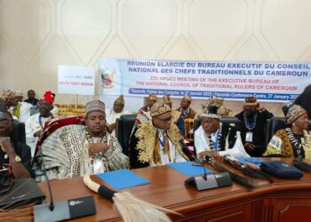 Presidential election: Paul Biya gets royal backing from traditional rulers