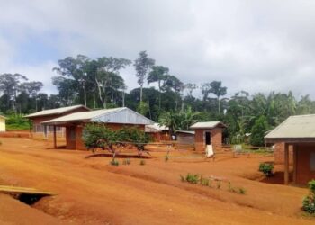 Damned to suffer: Lom Pangar communities demand justice