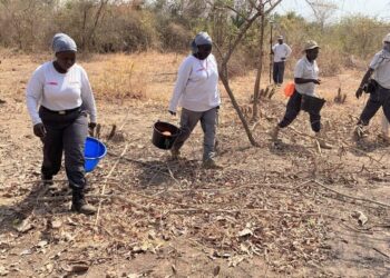 New Beginnings: UNMISS, humanitarians and government facilitate reintegration of displaced persons