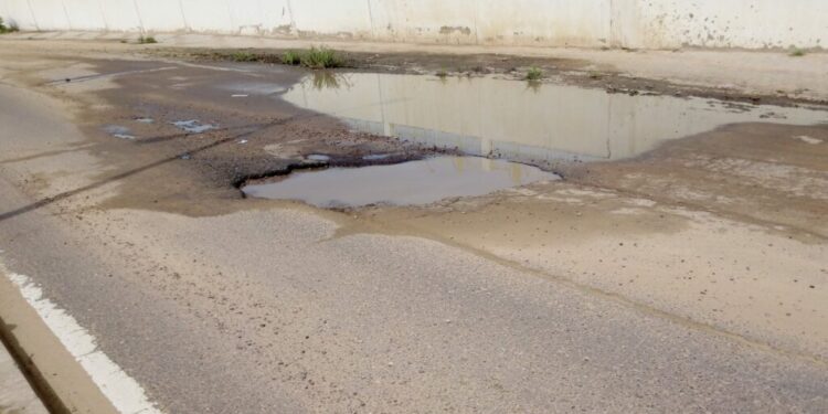 World Bank Promotes Inclusive Connectivity in Lake Chad Region