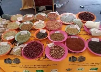 FOSPAC 5: Sowing the Seeds of Food Sovereignty