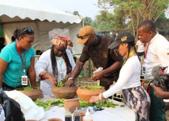 A recipe for hope: Diaspora Kitchen offers lifeline to internally displaced chef