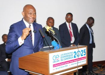 Elumelu effect: Nigerian business mogul sparks hope for Cameroon’s economic revival