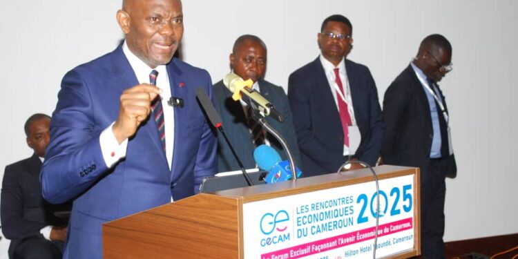 Elumelu effect: Nigerian business mogul sparks hope for Cameroon’s economic revival
