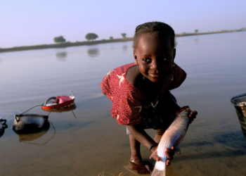 WHO verifies Niger as the first country in the African Region to eliminate onchocerciasis