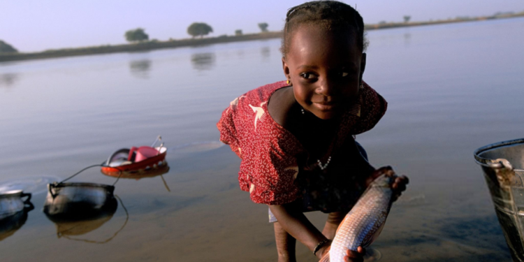 WHO verifies Niger as the first country in the African Region to eliminate onchocerciasis