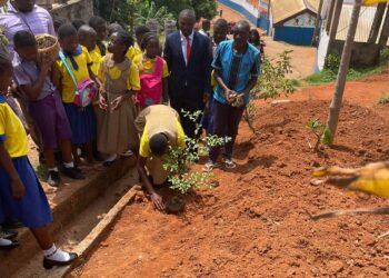 Protection des forêts: les enfants mis à contribution