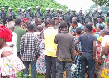 Ancestral Land Under Siege: Apouh à Ngock’s Desperate Struggle Against SOCAPALM