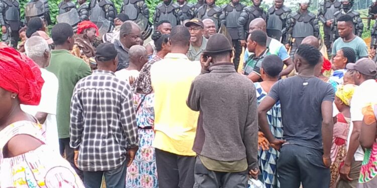 Ancestral Land Under Siege: Apouh à Ngock’s Desperate Struggle Against SOCAPALM