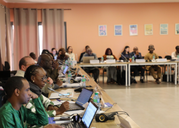 West and Central Africa: UNOWAS and UNOCA pool their efforts to strengthen peaceful coexistence between farmers and herders and ensure the sustainable management of transhumance