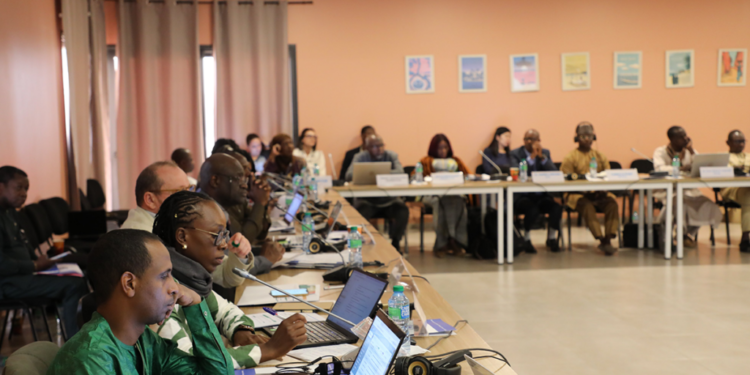 West and Central Africa: UNOWAS and UNOCA pool their efforts to strengthen peaceful coexistence between farmers and herders and ensure the sustainable management of transhumance