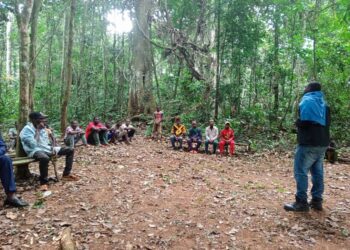 In the shadow of the forest: the Baka people’s quest for recognition and justice