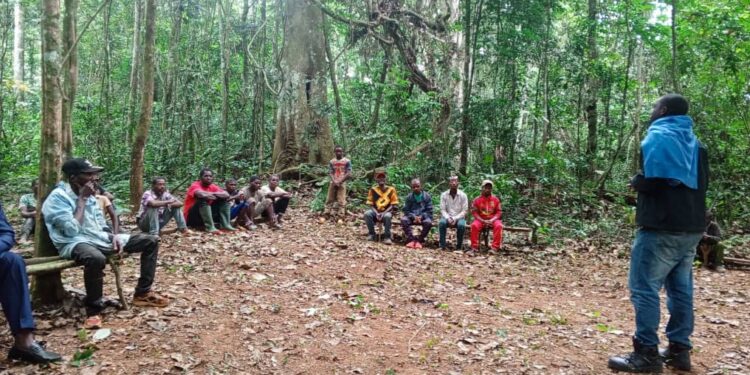 In the shadow of the forest: the Baka people’s quest for recognition and justice